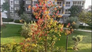 Madinaty Luxury Apartment Madinaty 3-BD مدينتي شقه فندقيه فاخره - Madinaty - 8
