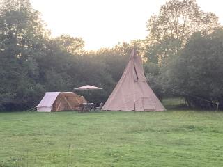 Dragonfly Lodge Ifold & Alpaca My Tipi Glamping - Billingshurst - 4