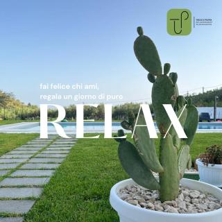 Tacco e Punta bed&breakfast - Grisi - 2