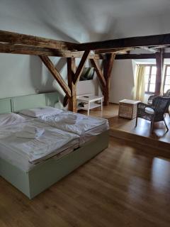 Hotel Celerin - Telč - 6