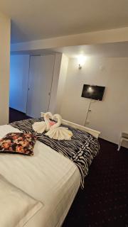 Hotel Olimp - Cluj-Napoca - 2
