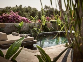 Theros Exotica Loft Villa Contemporary 2BR W pool in Tsilivi Hills - 7