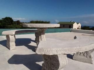 Streams Cottage - Bettyʼs Bay - 4