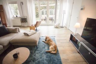 Waddenvilla 18 - Hollum - 2