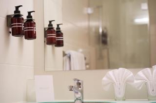 Soldanella by Hotel Adula - Flims - 5