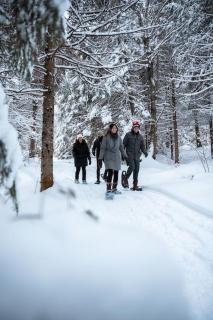 Serenity Private Hot Tub - Fiddler Lake - 3