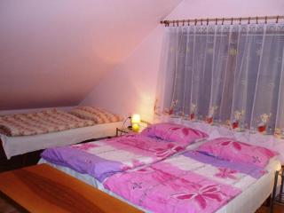 Holiday Home Smrž by Interhome - Dudov - 4