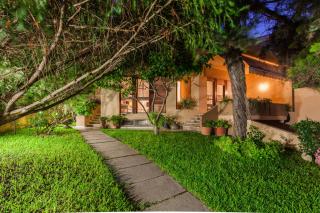 La Tuia e il Tasso - 0