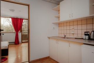 Business Transit to Therme & Bucharest Airport - Săftica - 2