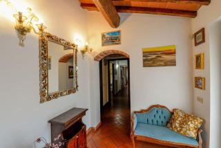 SAMBUCA, Splendido giardino nel chianti - 2