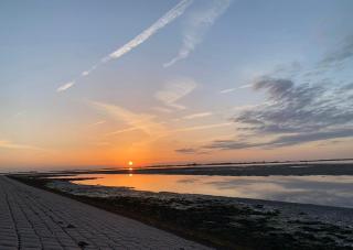 Vakantiewoning De Bosrand Aan Zee - 1