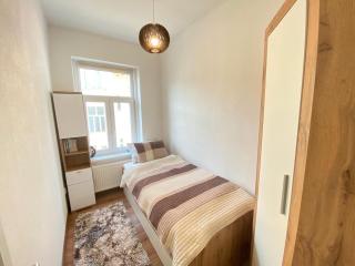 City Center Apartment Katarina - Cheb - 1