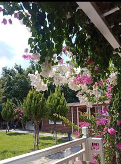 ŞAH apart - Kemer - 9