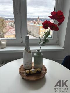 Apartment Kuzmany - 7