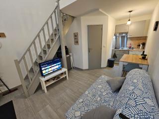 location studio mezzanine - Vert-Saint-Denis - 1
