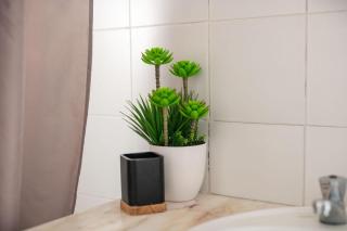 Family Friendly Azorean Apartment - Ponta Delgada - 4