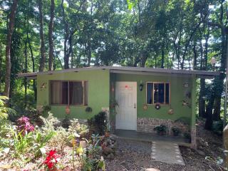 Monasterio del Mono - 0