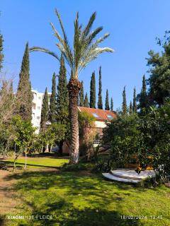 Villa with a big garden - Atene - 5