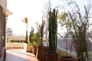 Villa Mogador By Solena - Essaouira - 9