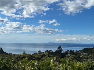 Whisper Cottage - Onetangi - 9