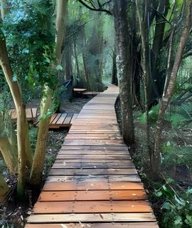 Container con tina temperada - 4