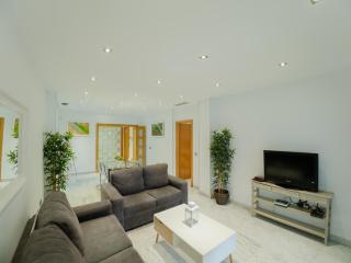 Apto Valdespino Gran Terraza fjhomefj - Jerez de la Frontera - 1
