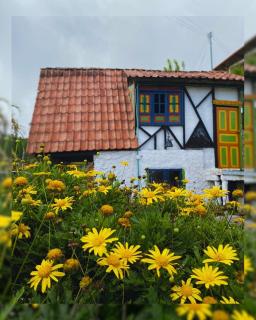 Hostal Camino Viejo - Líbano - 0