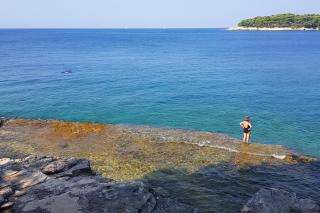 Holiday house with a swimming pool Loborika, Pula - 22776 - Marčana - 6