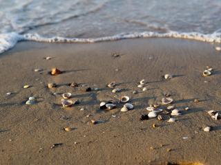Beachside tranquility in our 1 bedroom apartment by Beahost Rentals - Bibione - 2