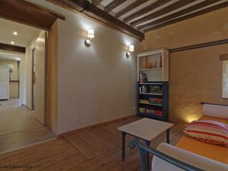 Spacieuse longère Percheronne avec jardin, spa, activités familiales et pêche à la ferme - FR-1-497-138 - Corbon - 9