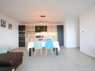 Appartement neuf moderne avec balcon et garage à Évian - FR-1-498-103 - Évian-les-Bains - 9
