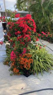 Poolside tropical getaway Easy access to fun - West Palm Beach - 3