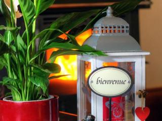 Gîte chaleureux avec cheminée, espace jeux et animaux, proche nature et activités familiales - FR-1-496-315 - Sauvain - 8