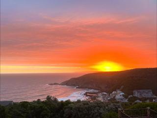 Dolphin Dream - Heroldsbaai - 2