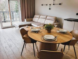 Apartament Uzdrowiskowa Szczyrk - Szczyrk - 9