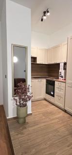 Bonvenon2Volme Apt&Room - 3