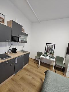 Stadtoase Wels - Wels - 3
