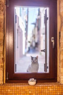 Athena's House - Chania - 2