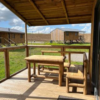 Ecau Lodge - Logement insolite à 30km de Pairi Daiza - Écaussinnes-dʼEnghien - 5