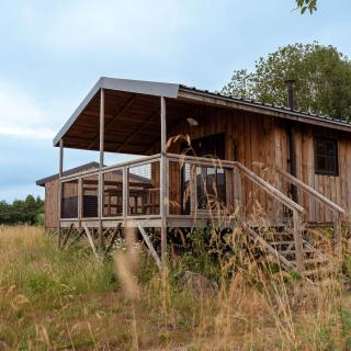 Ecau Lodge - Logement insolite à 30km de Pairi Daiza - 9