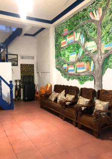 Para Nguyên Căn Homestay - Da Lat - 4