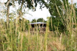 Ecau Lodge - Logement insolite à 30km de Pairi Daiza - Écaussinnes-dʼEnghien - 0