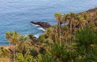 Mirador Oceanic Observatory - Los Realejos - 2