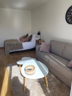 Studio 33 m2 , climatisé, parking extérieur privé gratuit - Amélie-les-Bains-Palalda - 6