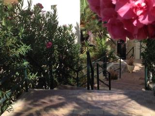 Jardin Marino - Adeje - 2
