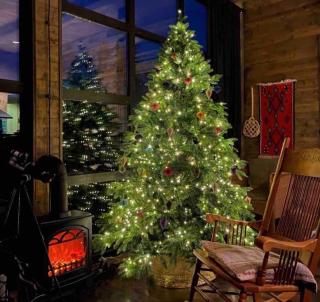 Coziest Cabin in Racha , Sakhluka Rachashi - 9