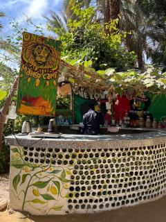 Salatoos Mango Garden and Guesthouse - Assuan - 9