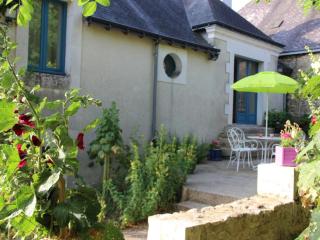 Gîte rural avec grand jardin, loisirs et proche des châteaux de la Loire - FR-1-381-68 - Cheillé - 0