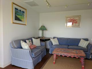 Chatham Family retreat:Tennis,water views&access! - Chatham - 5