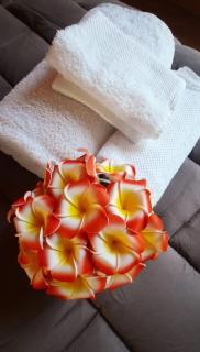 Plumeria - Vacanze in centro a Palermo - Palermo - 8